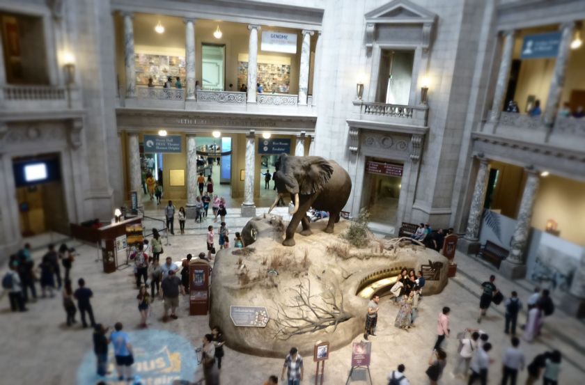 10 Free Things to do in Washington D.C. | The Alternative Atlas