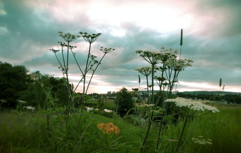 Glasgow in 100 Words or Less | The Alternative Atlas