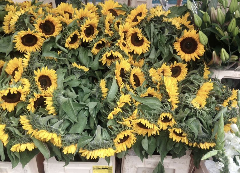 5 Must-See London Markets | The Alternative Atlas