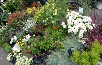 5 Must-See London Markets | The Alternative Atlas