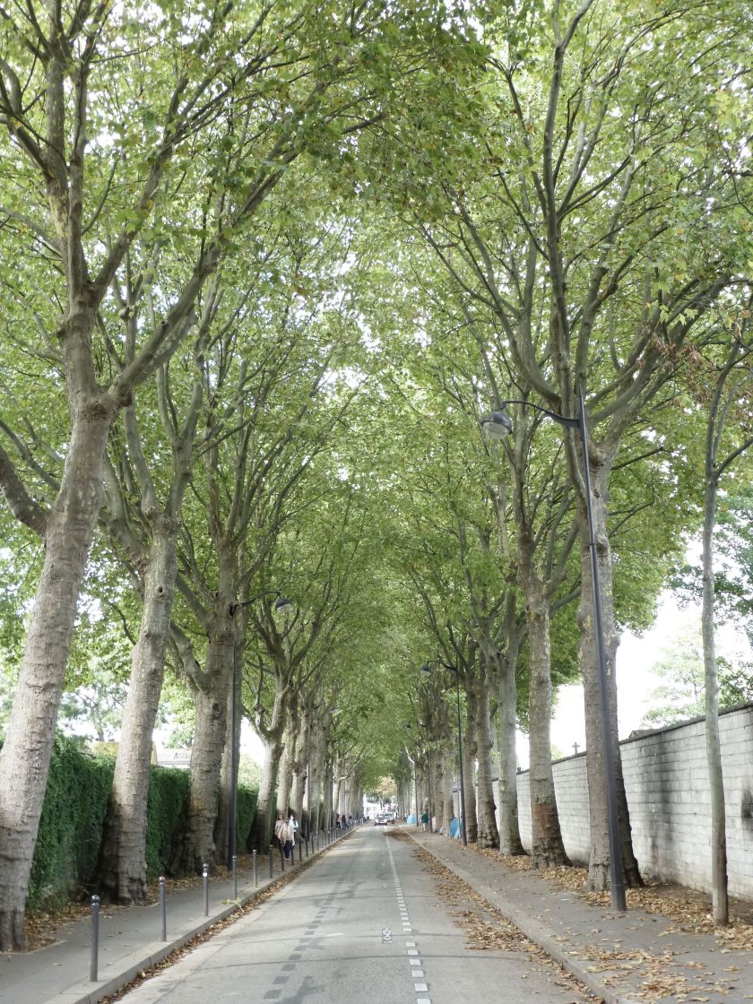 The Alternative Atlas | Paris Catacombs