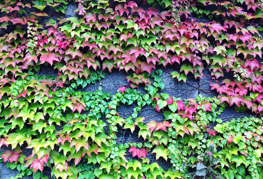 Zurich in Living Color | The Alternative Atlas