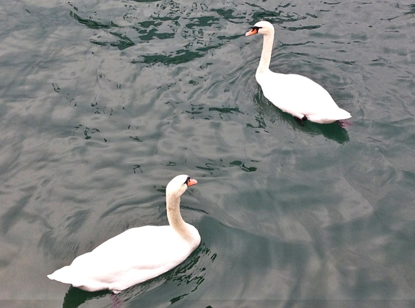 Zurich in Living Color | The Alternative Atlas