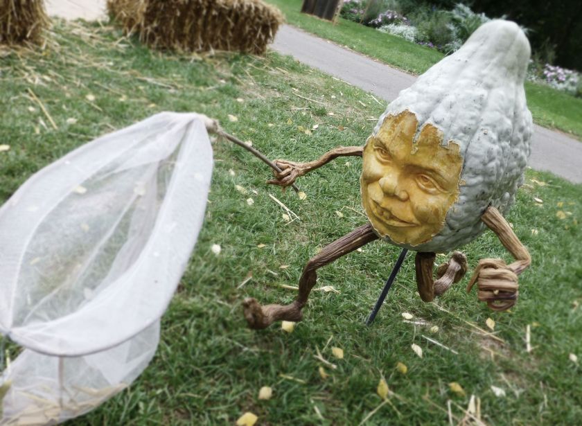 Ludwigsburg Pumpkin Festival | The Alternative Atlas