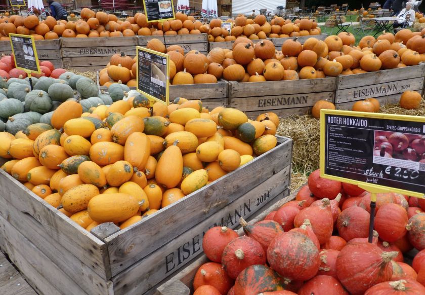 Ludwigsburg Pumpkin Festival | The Alternative Atlas