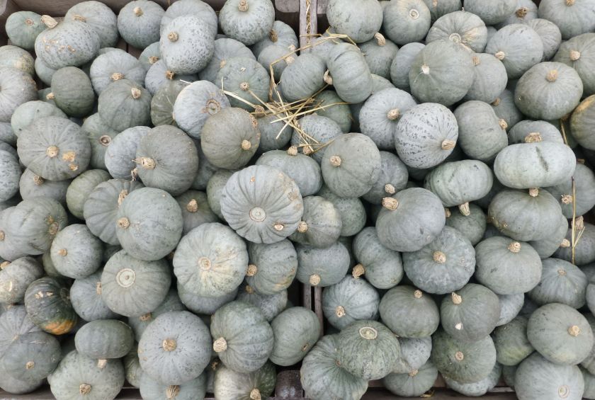 Ludwigsburg Pumpkin Festival | The Alternative Atlas